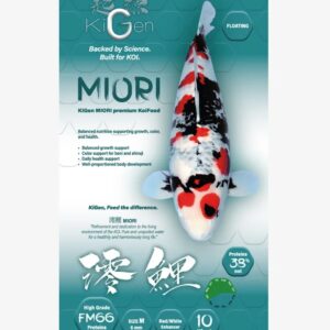 KiGen Koivoer Miori 6mm