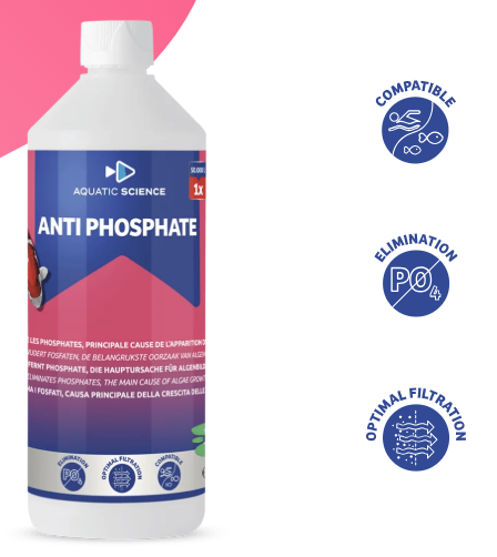 nti Phosphate voor helder vijverwater